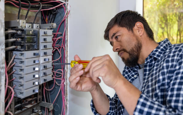 Best Electrical System Inspection  in Courtland, VA